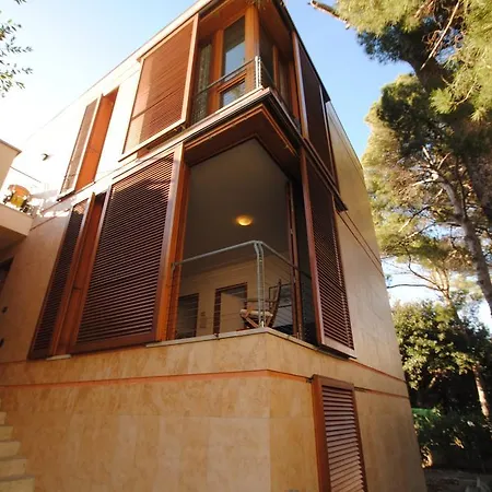 Angolino * Castiglioncello
